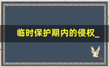 临时保护期内的侵权_国外对网络侵权的保护