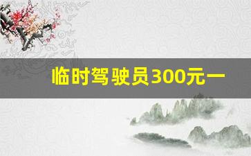 临时驾驶员300元一天