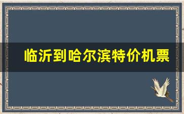 临沂到哈尔滨特价机票多少钱