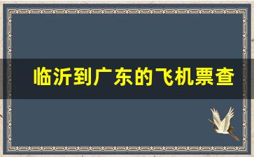 临沂到广东的飞机票查询