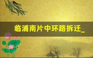 临浦南片中环路拆迁_临浦临一村潼江拆迁了吗