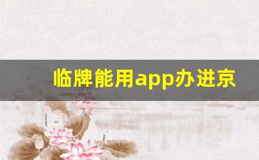 临牌能用app办进京证吗