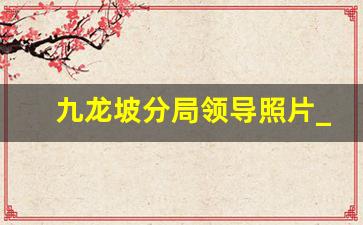 九龙坡分局领导照片_九龙坡区公安分局人员名单