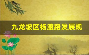 九龙坡区杨渡路发展规划