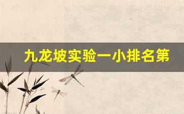 九龙坡实验一小排名第几_石杨路小学和九龙坡实验二小