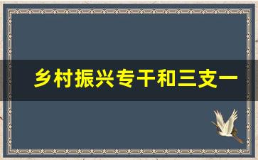 乡村振兴专干和三支一扶哪个好