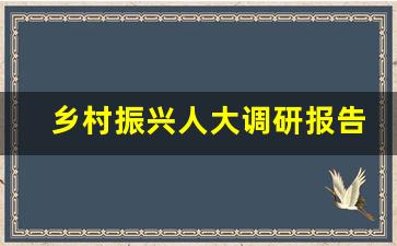 乡村振兴人大调研报告_乡镇乡村产业振兴的调研报告