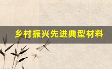 乡村振兴先进典型材料_先进典型材料