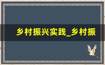 乡村振兴实践_乡村振兴实践感悟