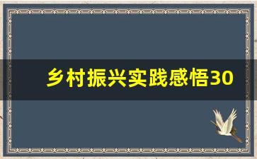 乡村振兴实践感悟300字_作为一名基层干部振兴乡村