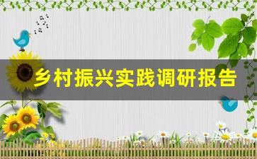 乡村振兴实践调研报告_乡村振兴社会实践活动内容