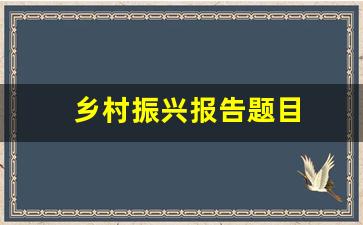 乡村振兴报告题目