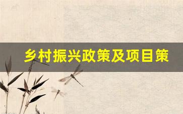 乡村振兴政策及项目策划_振兴乡村公益项目实施方案