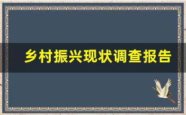 乡村振兴现状调查报告3000字_自然资源乡村振兴调研报告