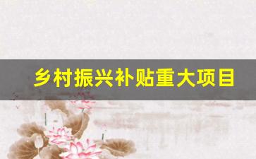 乡村振兴补贴重大项目有哪些_乡村振兴局申报的项目