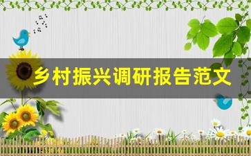 乡村振兴调研报告范文3000字_大学生乡村振兴调研报告范文