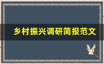 乡村振兴调研简报范文_乡村振兴调研情况小结