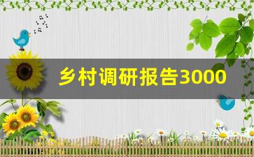 乡村调研报告3000字_农村调查报告范文3000字