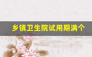 乡镇卫生院试用期满个人总结_医生试用期工作总结300字