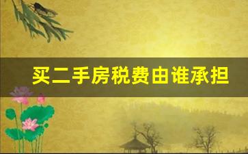 买二手房税费由谁承担_70万房子过户费几万