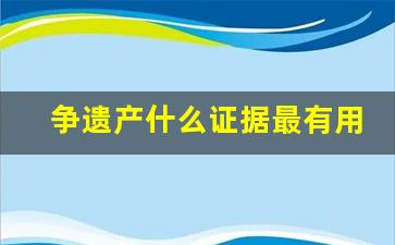 争遗产什么证据最有用