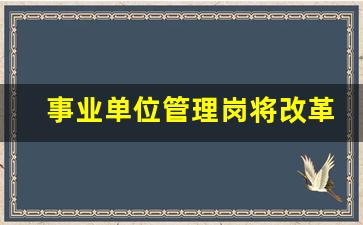 事业单位管理岗将改革_中级职称和管理岗八级哪个好