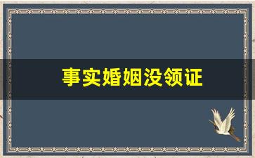 事实婚姻没领证