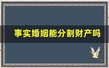 事实婚姻能分割财产吗_事实婚姻受法律保护吗