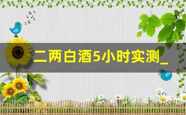 二两白酒5小时实测_正常人2两白酒多久会消失