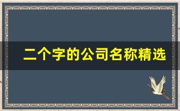 二个字的公司名称精选