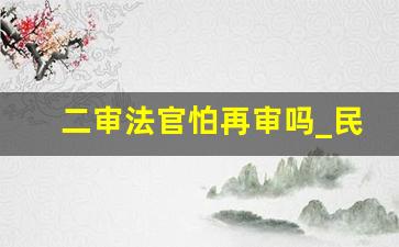 二审法官怕再审吗_民事再审基本没有翻案可能吗