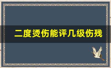 二度烫伤能评几级伤残_二度三度烧伤工伤能赔多少钱