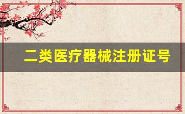 二类医疗器械注册证号怎么看_如何看械字号产品是几类