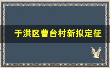 于洪区曹台村新拟定征收地块_于洪区红旗台4地块调整