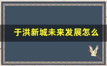 于洪新城未来发展怎么样_于洪新城南昌中学位置