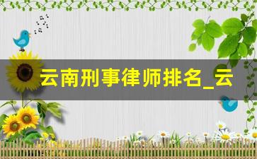 云南刑事律师排名_云南最好的律师事务所是哪家