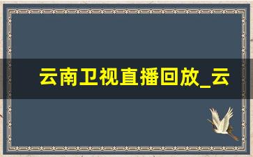 云南卫视直播回放_云南广播电视台在线观看