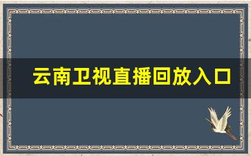 云南卫视直播回放入口_云南广播电视台在线观看