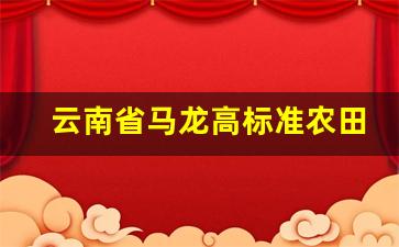 云南省马龙高标准农田建设2021年_云南省基本农田保护条例