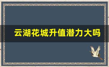 云湖花城升值潜力大吗_品实·云湖花城