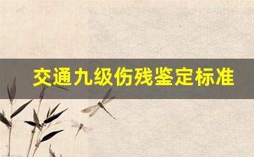 交通九级伤残鉴定标准最新_一个九级一个十级伤残怎么赔