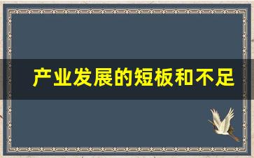 产业发展的短板和不足