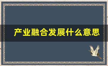 产业融合发展什么意思_产业融合发展方案