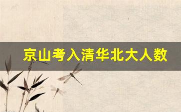 京山考入清华北大人数_京山一中中考录取名单