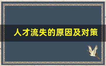 人才流失的原因及对策_防止人才流失的具体措施