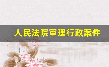 人民法院审理行政案件以为依据