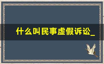 什么叫民事虚假诉讼_虚假诉讼可以起诉吗