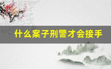 什么案子刑警才会接手_刑警直接带走人意味着什么