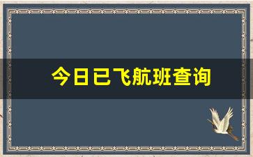 今日已飞航班查询