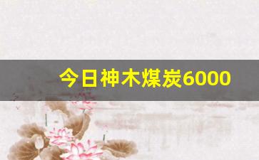 今日神木煤炭6000卡价格_2023年煤炭行情分析最新